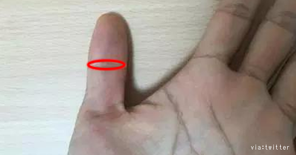 手相診断 親指の手相に 仏眼 がある人の特徴 あなたの左手にある 今すぐあなたもチェック Lion News